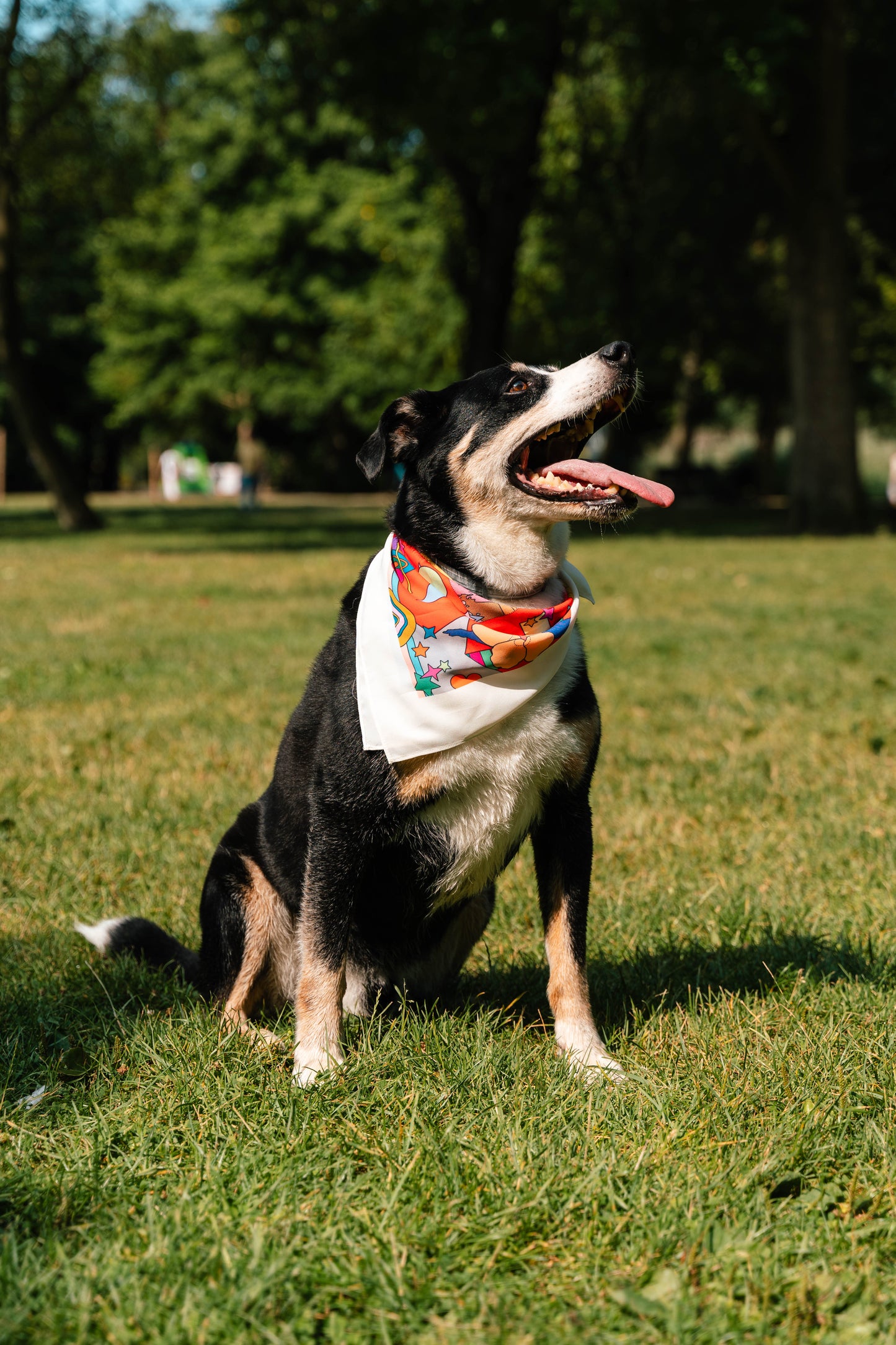 Doge Bandana