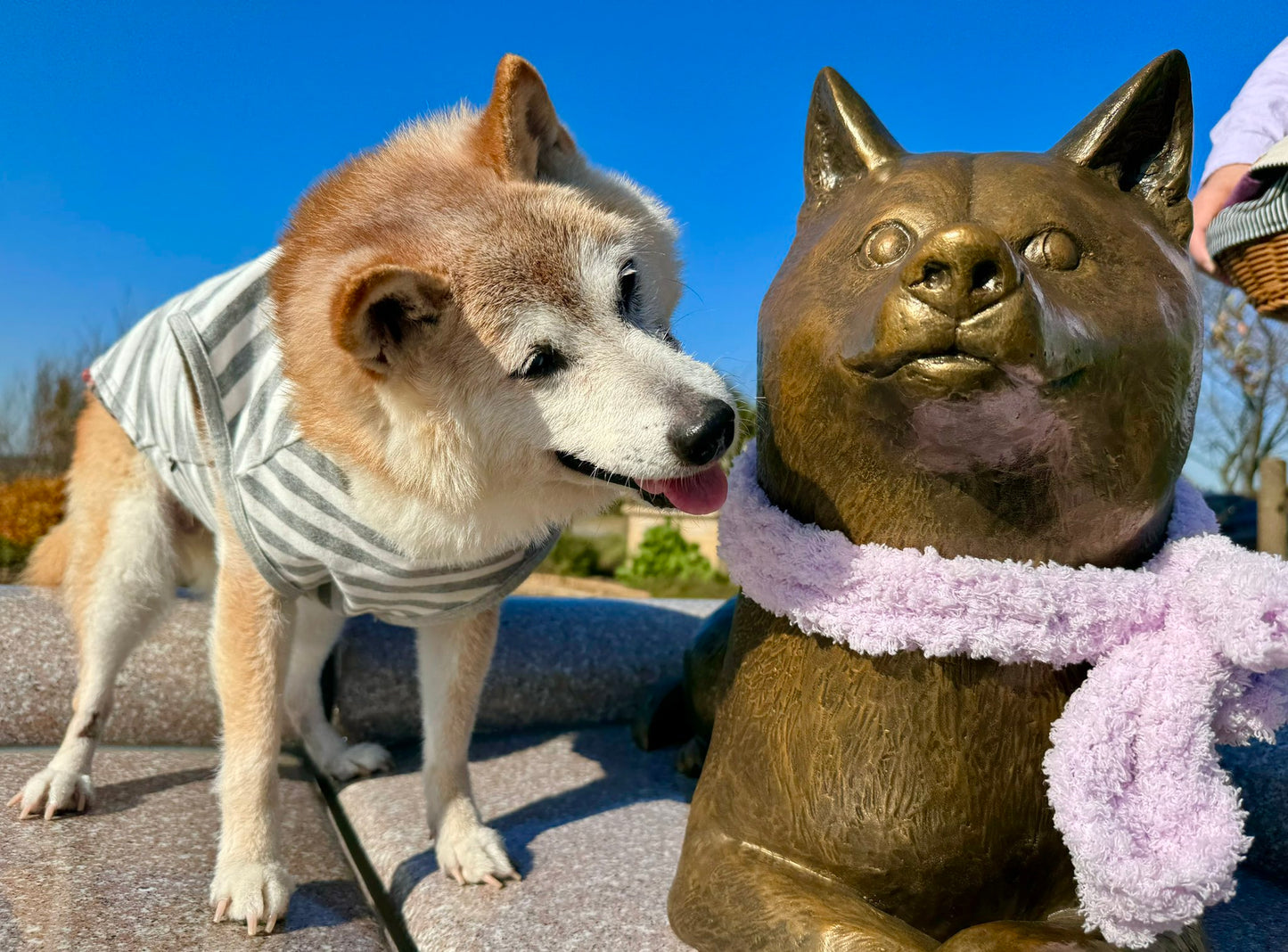 Life Size Doge Statue