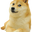 Wow By Doge, the official Do Only Good Everyday (DOGE) store. logo