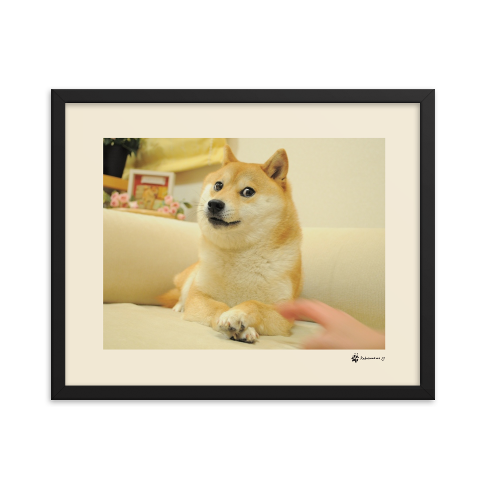 Framed matte paper poster of the famous Doge