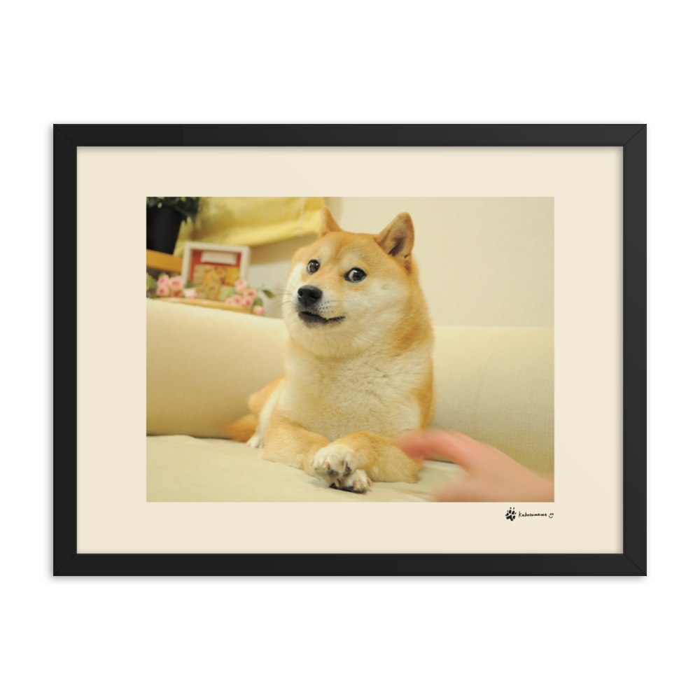 Framed matte paper poster of the famous Doge