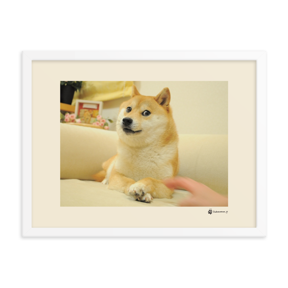 Framed matte paper poster of the famous Doge